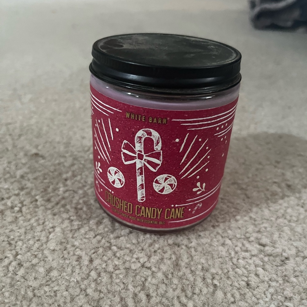 Candy Cane Bath and Body Works One Wick Candle